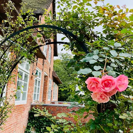 Minimalist On Eiderstedt Дом отдыха