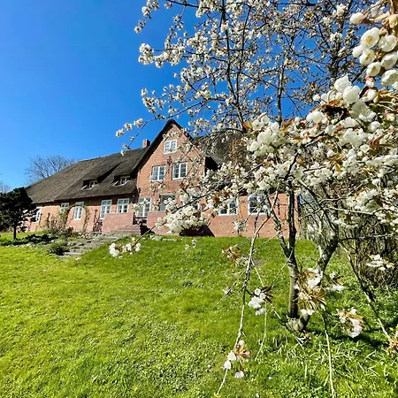 Minimalist On Eiderstedt Дом отдыха Tetenbull