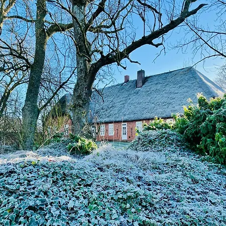 Minimalist On Eiderstedt Tetenbull